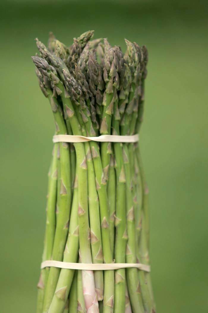 Top view, fresh tasty white asparagus, seasonal vegetable, new harvest,  with piller and knife, ready to cook, Stock Photo