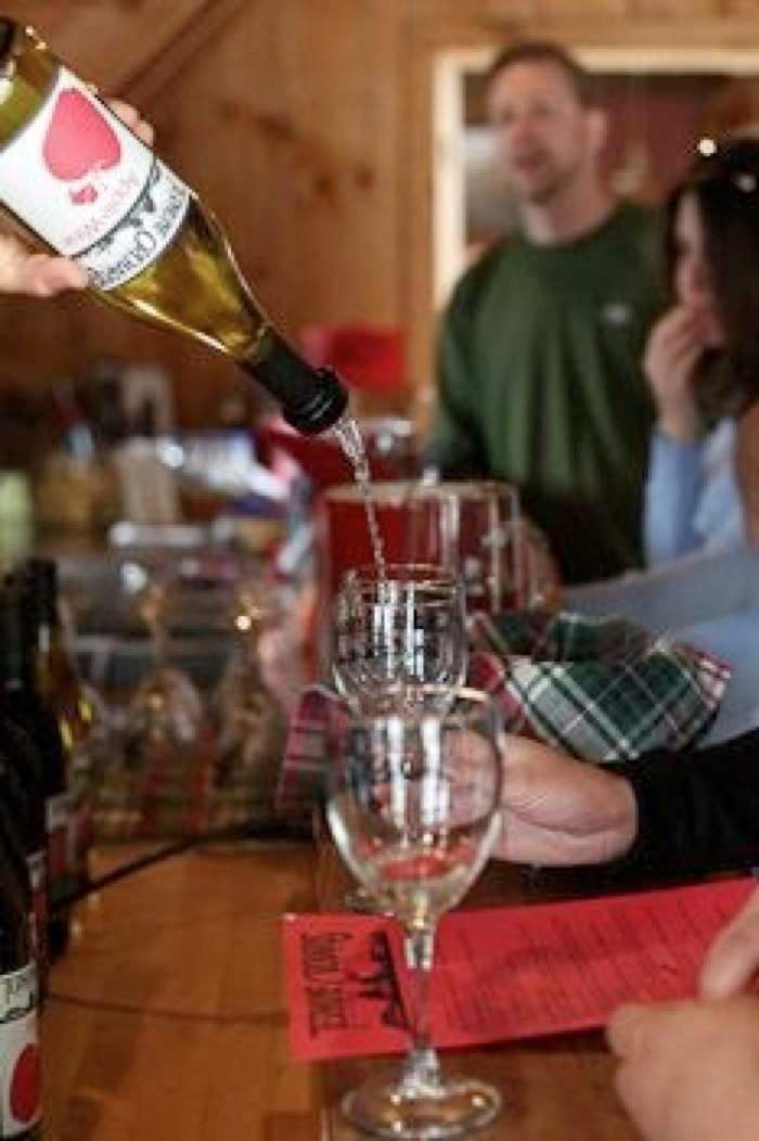 Terhune Orchards tasting room wine pouring