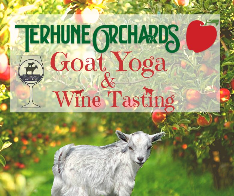 Goat Yoga Wine