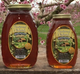 Fruitwood Orchards Blueberry Honey