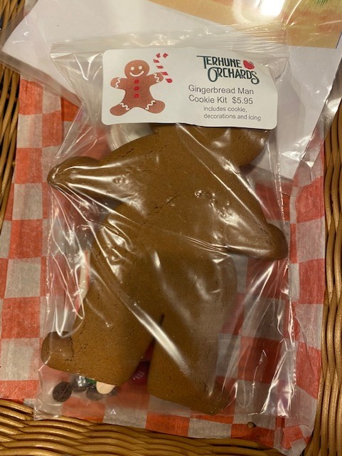 gingerbread man kit