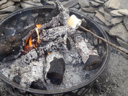 firepit marshmallows