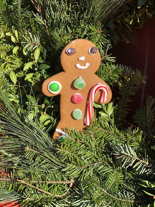 gingerbread man decorated