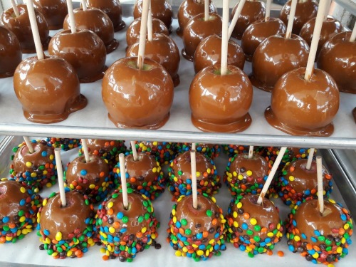 caramel apples