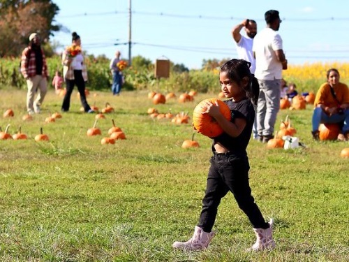 girl carrying pumpkin