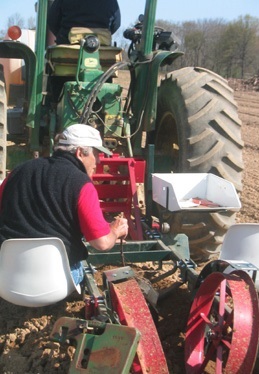 Gary plants new vineyard