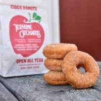 timeline - Apple cider donuts