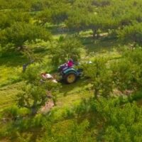 timeline - Peach Orchard Tractor Aerial